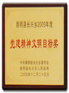 2005年党建精神文明奖