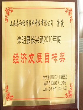 2010年经济发展目标奖