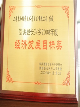 2008年经济发展目标奖